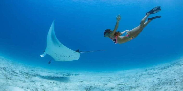 labuan-bajo-swim-and-snorkel-komodo-island-trip-with-lunch