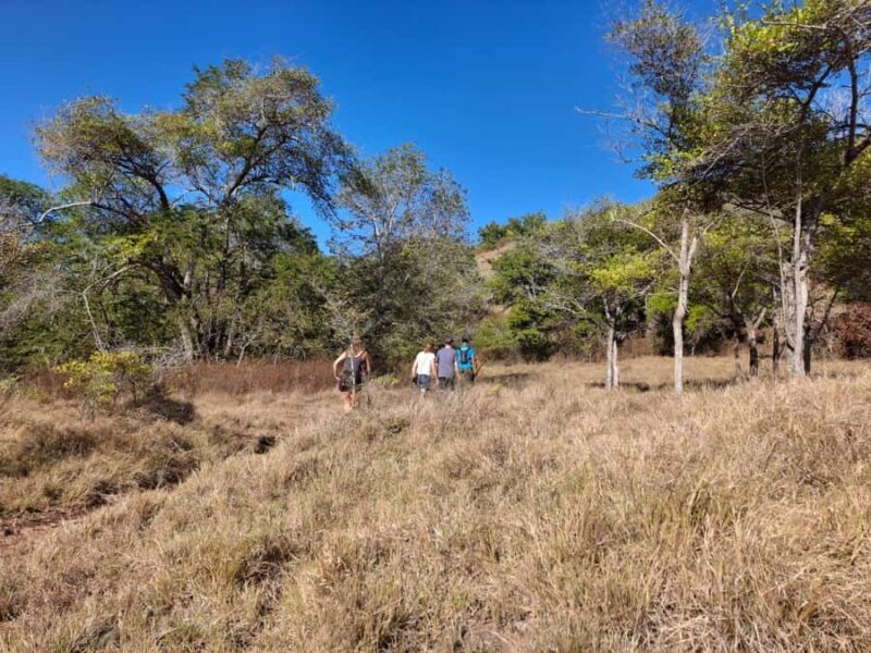 Labuan Bajo:3-Day Private Komodo National Park Eco Boat Tour - The Sum Up