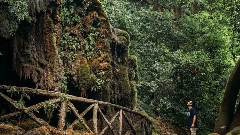 Laconi: guided tour discovering the village - Key Points