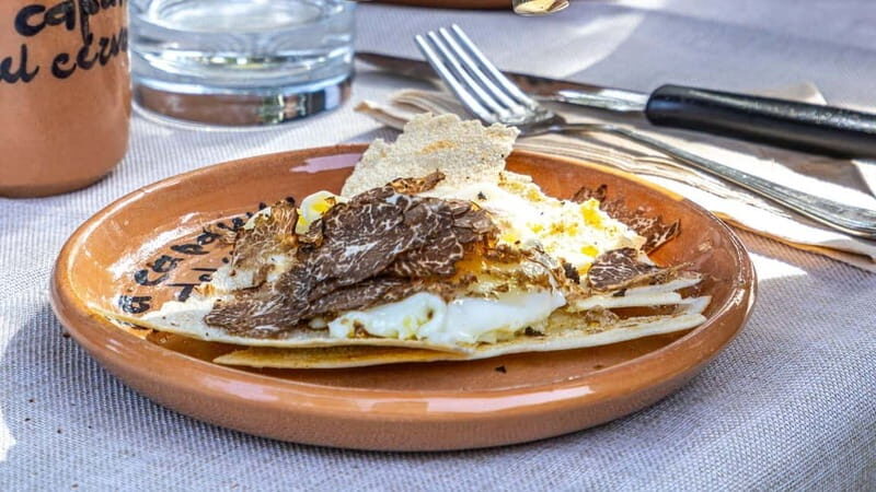 Laconi: truffle hunting excursion with lunch - Key Points