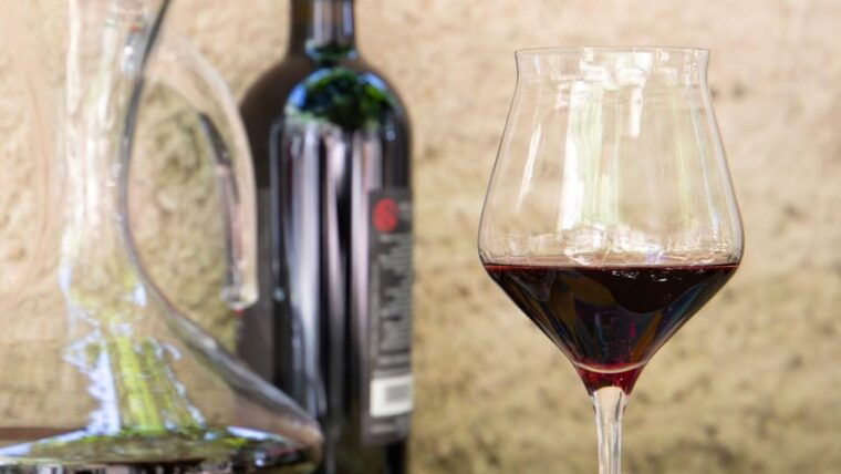 laconi-visit-a-winery-with-wine-tasting