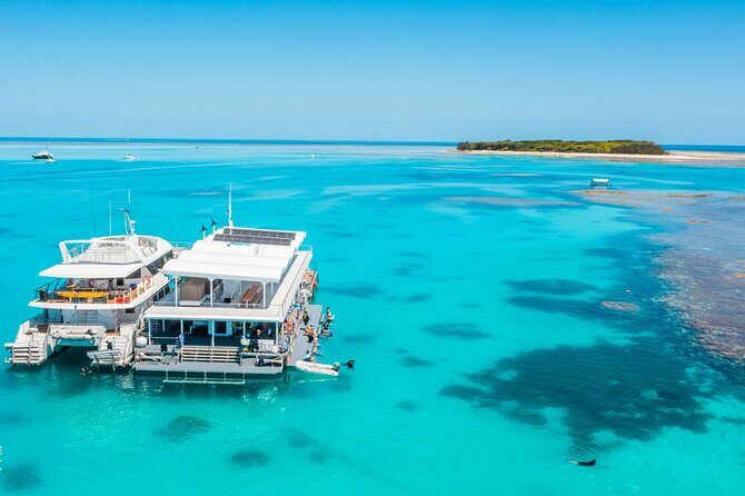 Lady Musgrave Day Trip from Bundaberg Including Snorkeling - The Value of This Reef Experience