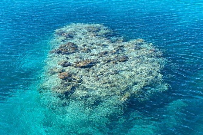 Lady Musgrave Day Trip from Bundaberg Including Snorkeling - Who Is This Tour Best Suited For?