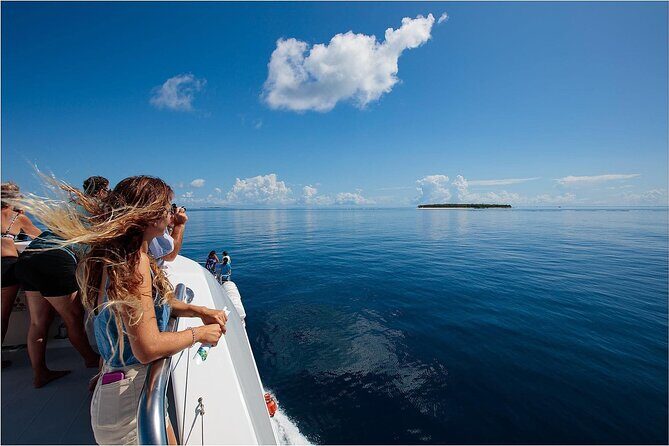 Lady Musgrave Day Trip from Bundaberg Including Snorkeling - Frequently Asked Questions