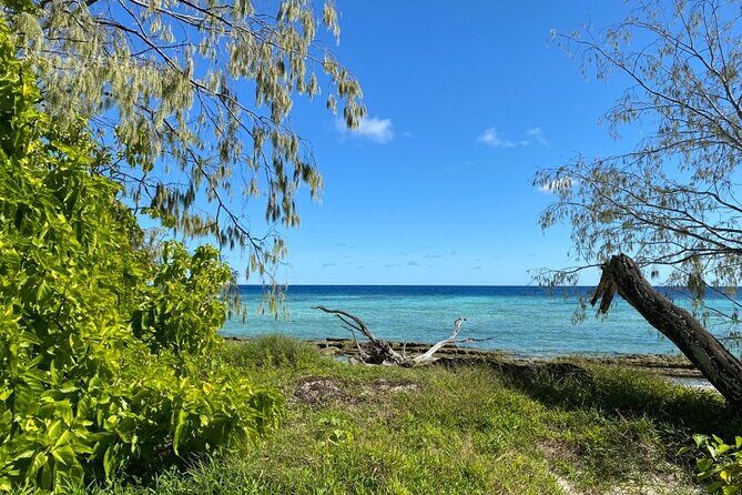 Lady Musgrave Day Trip from Bundaberg Including Snorkeling - Final Thoughts