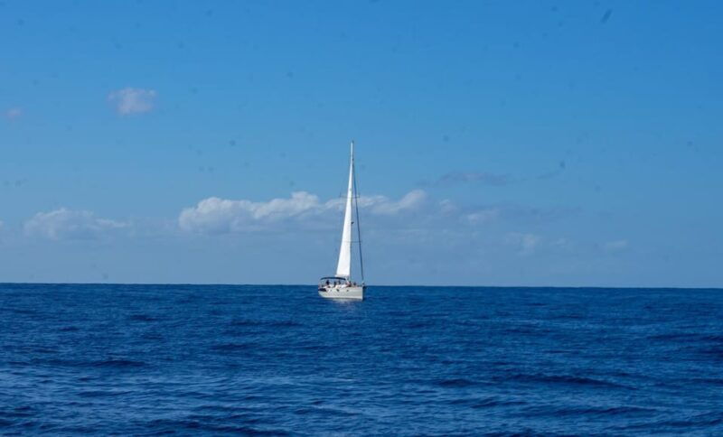 lady-sunshine-luxury-boat-private-tour-2-4-or-8-hours-2