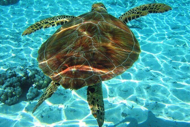 Laganas Zakynthos: Marathonissi, Keri Caves and Turtles Spotting - Introduction