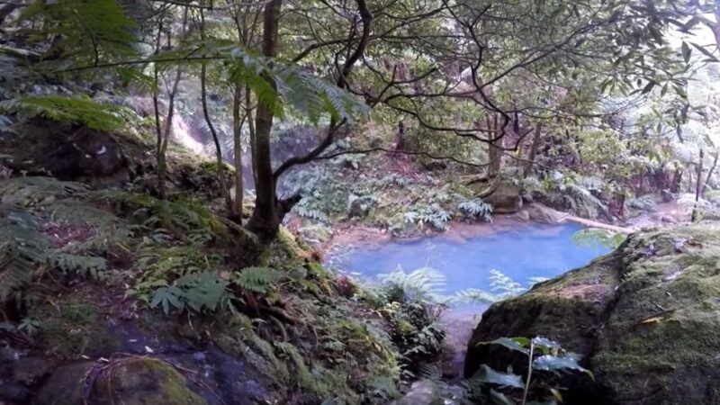 Lagoa do Fogo: Biologist-guided Volcano Geo Tour +Hotsprings - An in-depth look at the Lagoa do Fogo Volcano Geo Tour