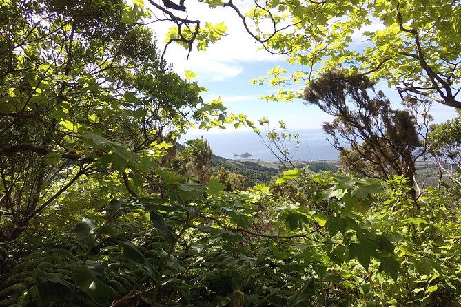 lagoa-do-fogo-walking-tour-with-lunch-from-ponta-delgada-2
