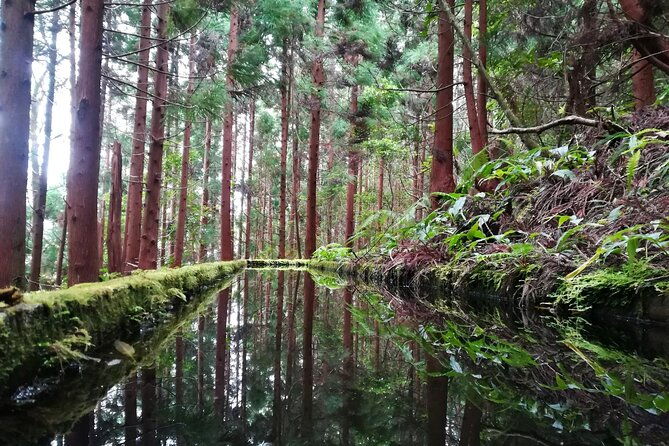 lagoa-do-fogo-walking-tour-with-lunch-from-ponta-delgada-4