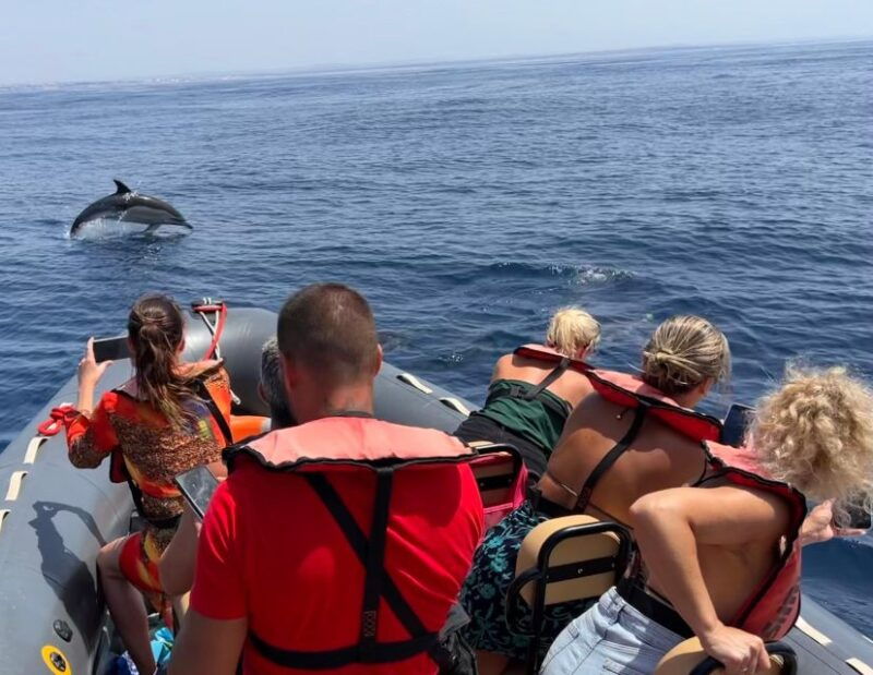 lagoa-dolphins-expedition-with-biologist-guide-on-board