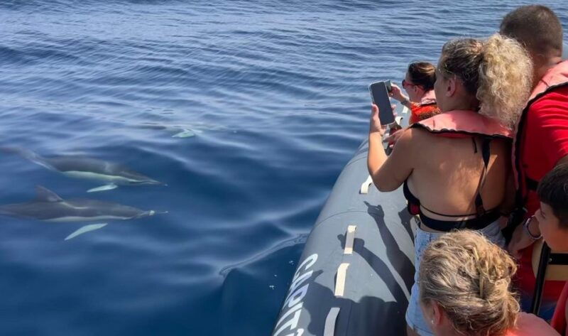 lagoa-dolphins-expedition-with-biologist-guide-on-board