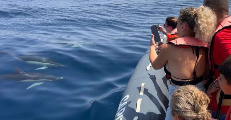 lagoa-dolphins-expedition-with-biologist-guide-on-board