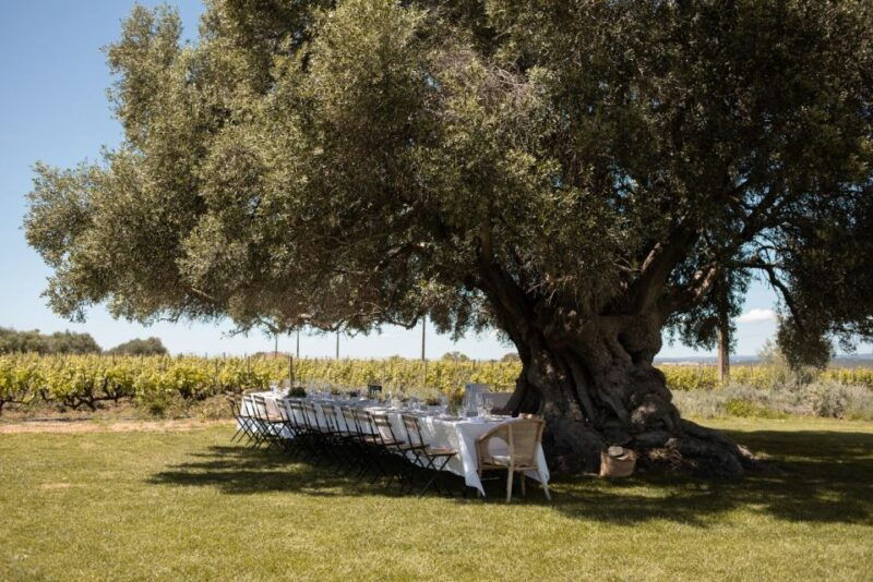 lagoa-morgado-do-quintao-estate-lunch-and-wine-tasting