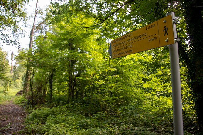 lagodekhi-a-day-hiking-from-tbilisi