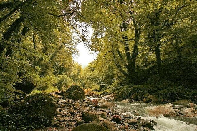 lagodekhi-a-day-hiking-from-tbilisi