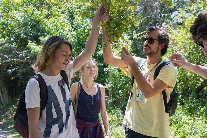 lagoinha-do-leste-hiking-and-photography-adventure