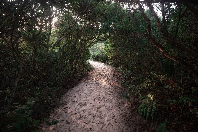 lagoinha-do-leste-hiking-and-photography-adventure