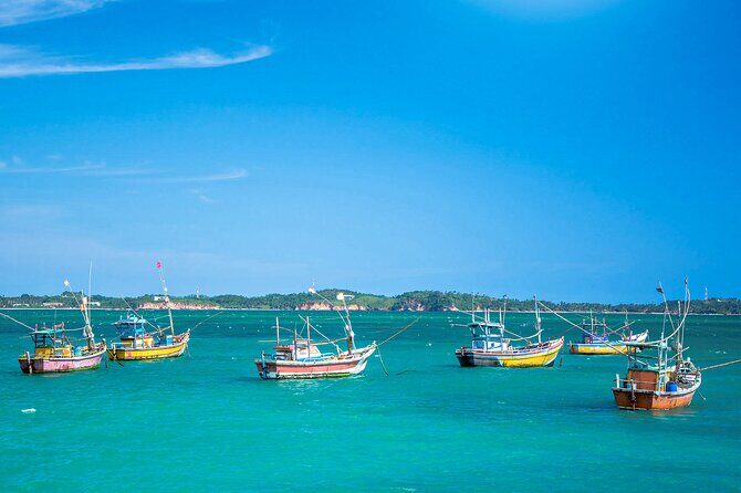 Lagoon Fishing from Negombo - Who Is This Tour Best For?