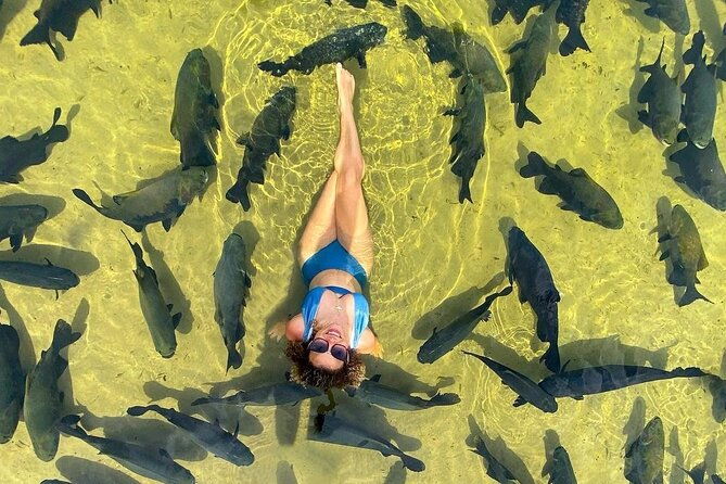 lagoon-of-tambaquis-an-amazing-experience