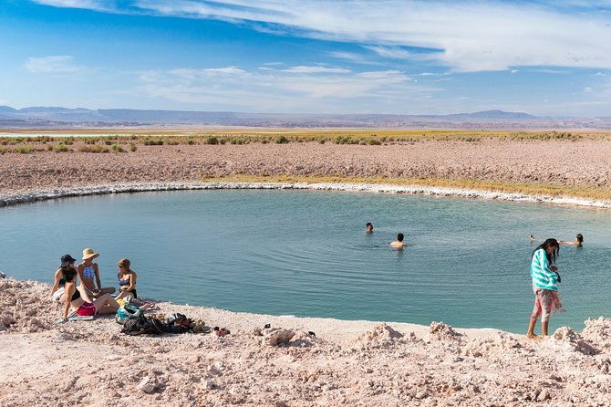 lagoons-in-atacama-salt-flat-half-day-typical-tour-san-pedro-de-atacama