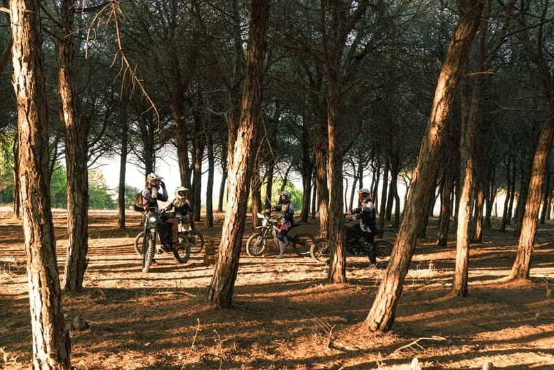 Lagos, Algarve: Adventure Tours on Surron Electric Dirtbikes - Who Should Book This?