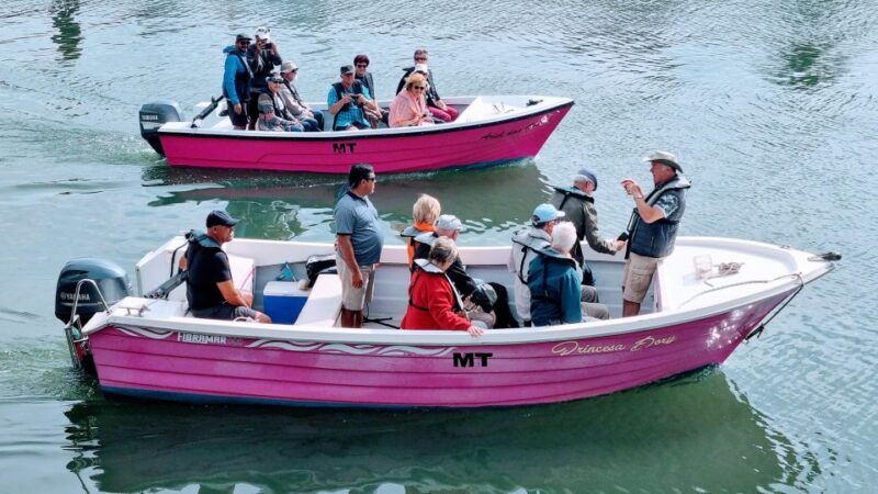 lagos-boat-trip-to-grottos-of-ponta-da-piedade-and-caves