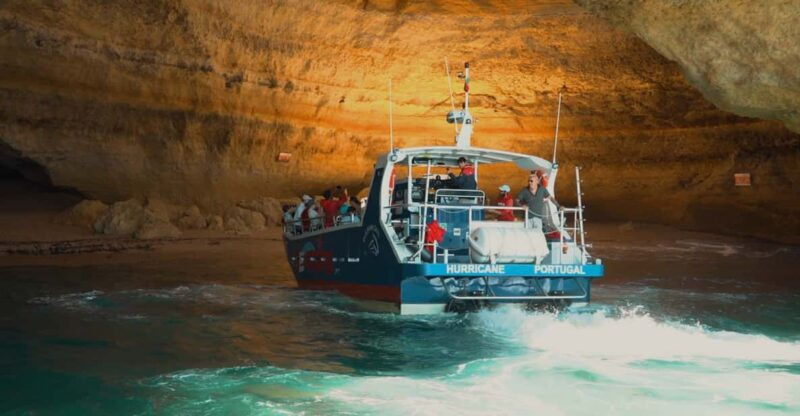 lagos-dolphin-benagil-tour-with-marine-biologist
