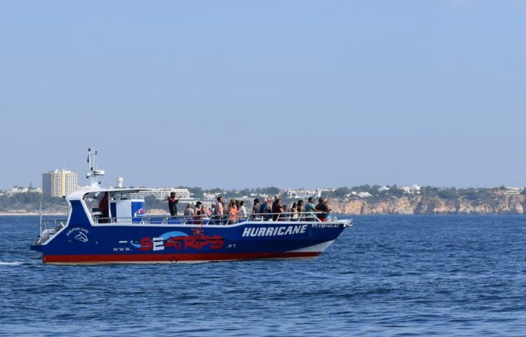 lagos-dolphin-benagil-tour-with-marine-biologist