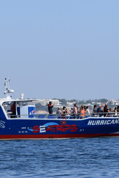 lagos-dolphin-benagil-tour-with-marine-biologist