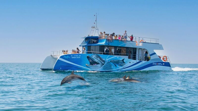 lagos-dolphin-watching-half-day-cruise-water-activities