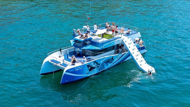 lagos-dolphin-watching-half-day-cruise-water-activities