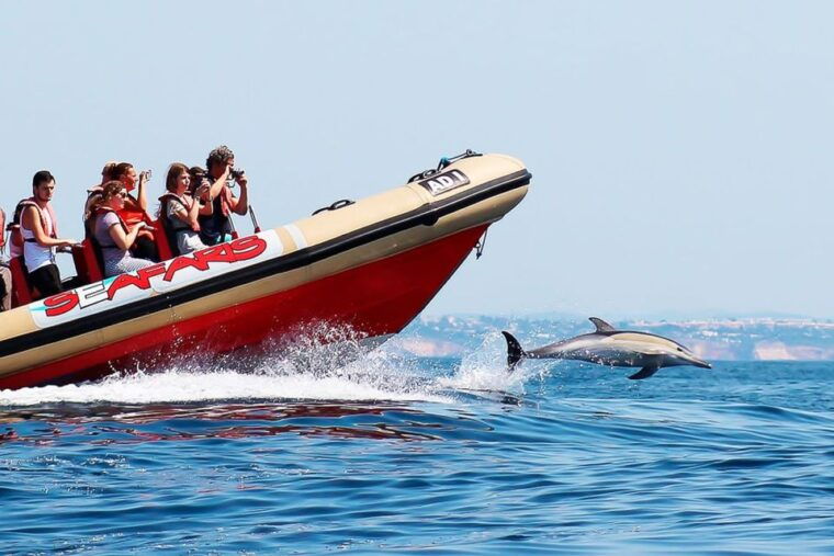 lagos-dolphin-watching-with-professional-marine-biologists