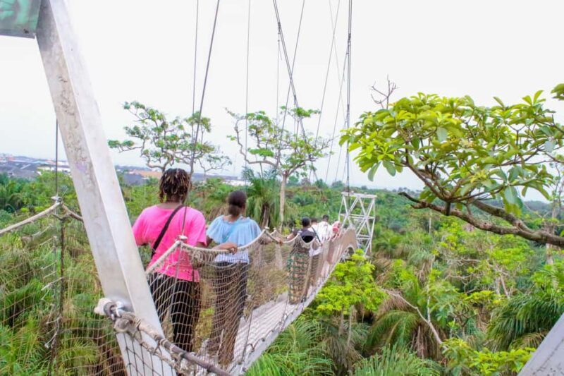 Lagos: Lekki Conservation Centre (LCC) Guided Tour - Key Points