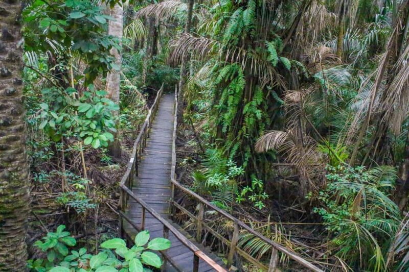 Lagos: Lekki Conservation Centre (LCC) Guided Tour - The Sum Up
