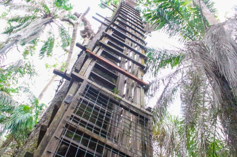 Lagos: Lekki Conservation Centre (LCC) Guided Tour - FAQ