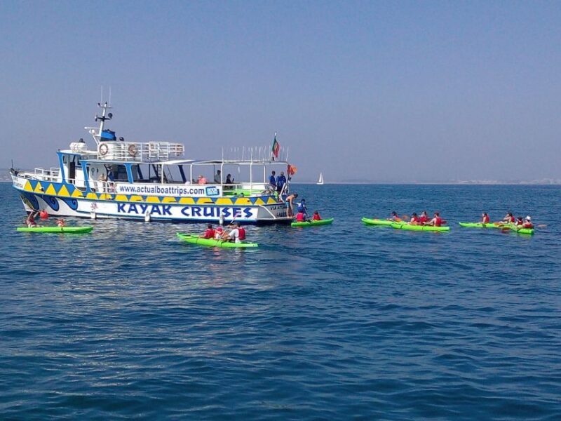 Lagos: Ponta da Piedade Caves Kayak Tour - Who This Tour Is Best For
