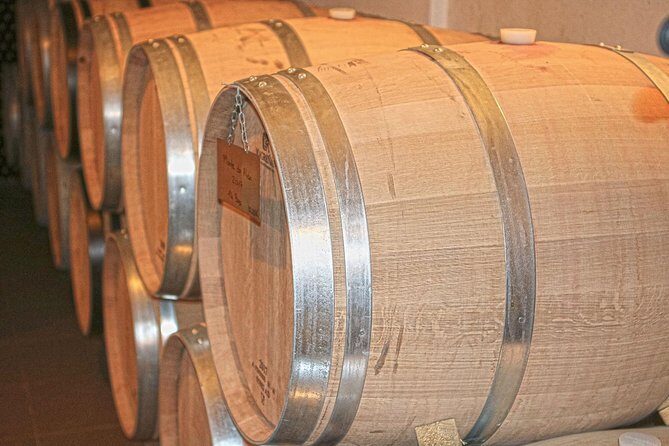 Lagos, Portimão & Carvoeiro: Wine Tasting, Tapas & Music Tour - Who Will Love This Tour?