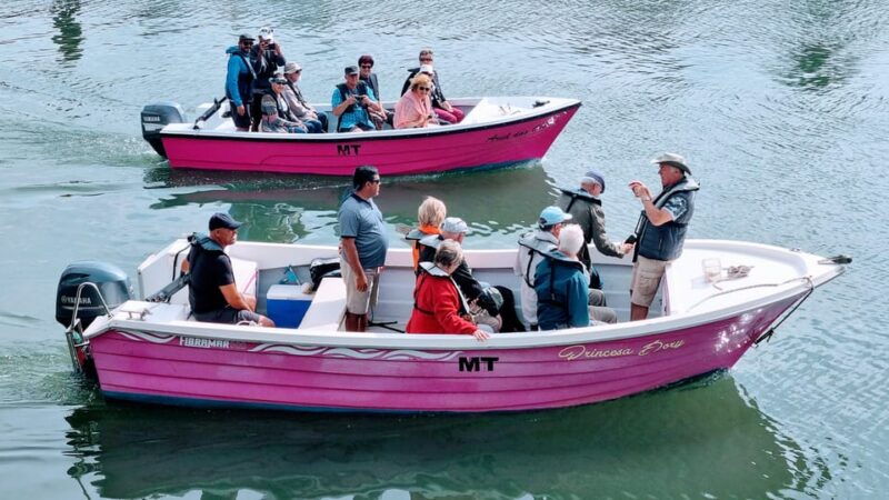 lagos-privat-trip-up-to-11-pax-to-grottos-ponta-da-piedade