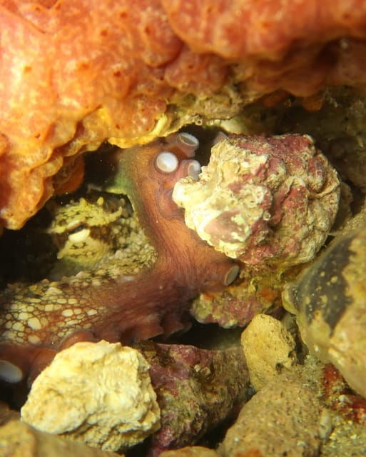 lagos-scuba-diving-experience-for-beginners