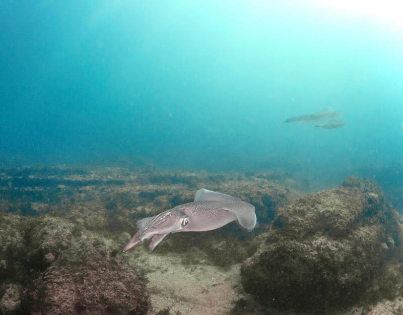 lagos-scuba-diving-experience-for-beginners