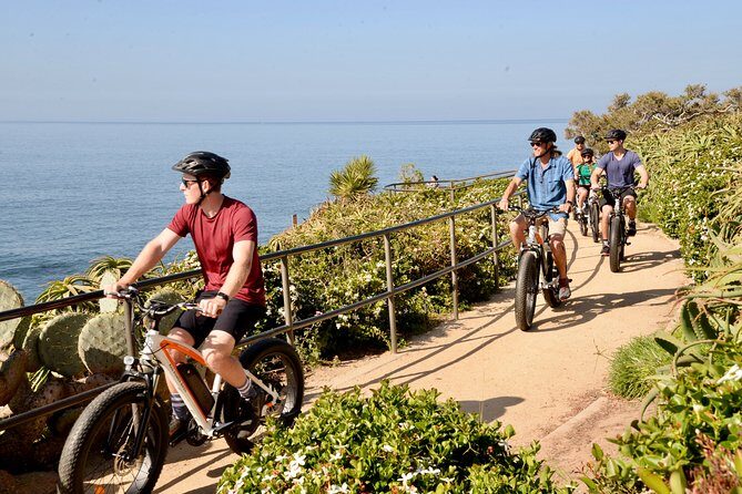 Laguna Beach Kayak Tour with Sea Lion Viewing - Who Should Book This Tour?
