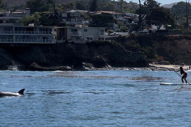 laguna-beach-stand-up-paddle-activity