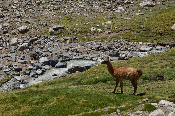 laguna-blanca-arroyo-turquoise-barreal-san-juan-arg