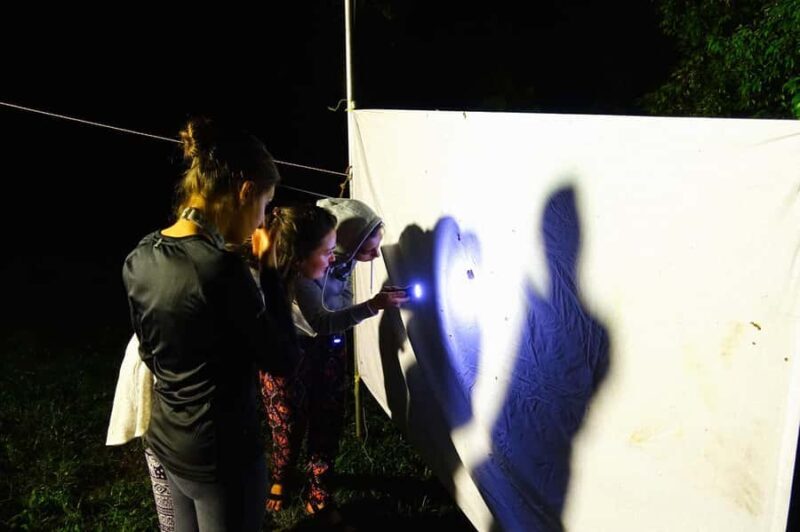 Lahad Datu: Danum Valley 3-Day Jungle Adventure with Guide - What Makes This Tour Stand Out?