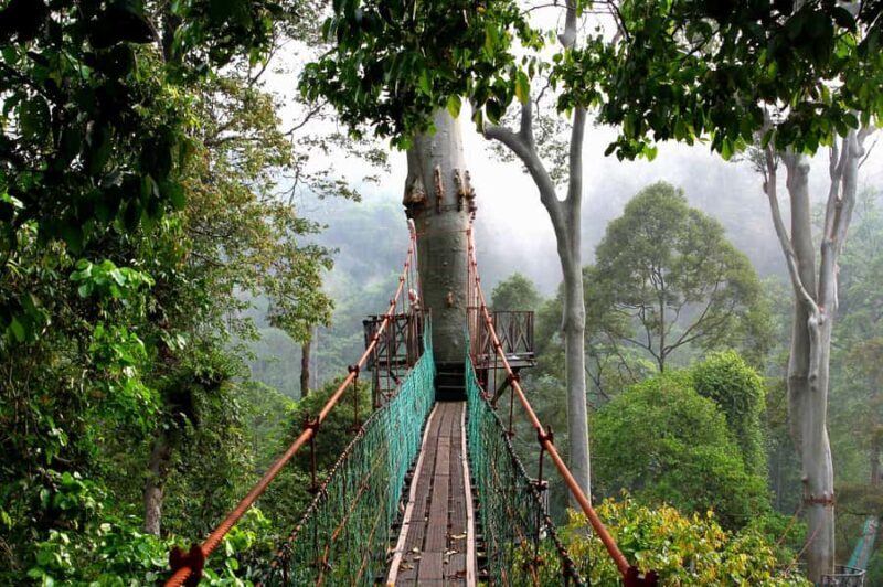 Lahad Datu: Danum Valley 3-Day Jungle Adventure with Guide - Frequently Asked Questions