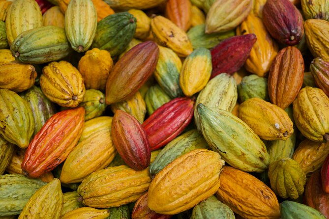 lahaina-maui-kuia-estate-guided-cacao-farm-tour-and-tasting