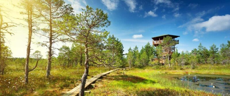 Lahemaa: VIP Tour to Estonias Oldest National Park - Exploring Lahemaa: Estonia’s Natural Treasure