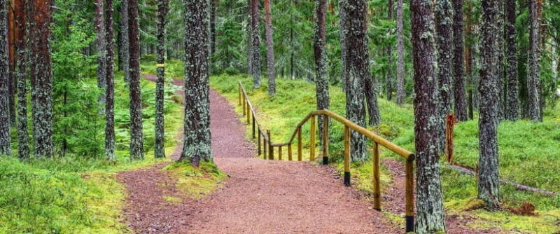 Lahemaa: VIP Tour to Estonias Oldest National Park - The Practicalities: What to Expect