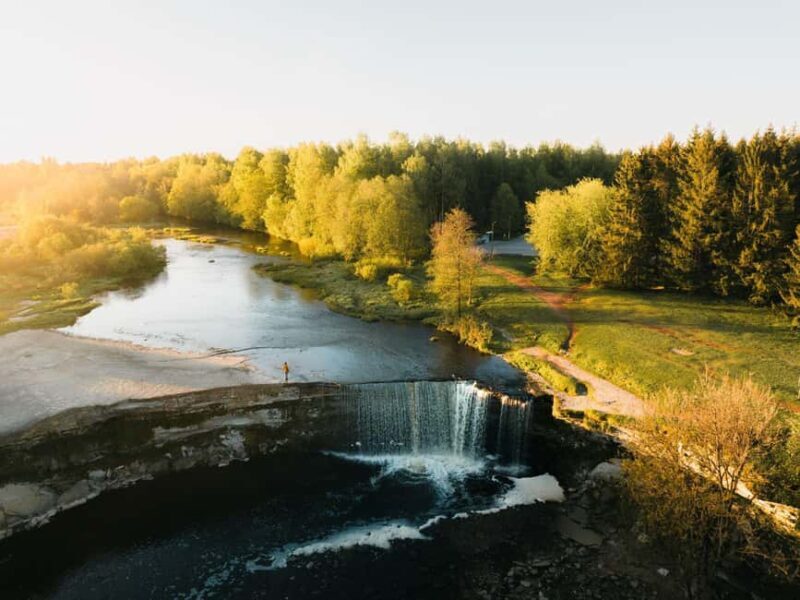Lahemaa: VIP Tour to Estonias Oldest National Park - What Reviewers Say